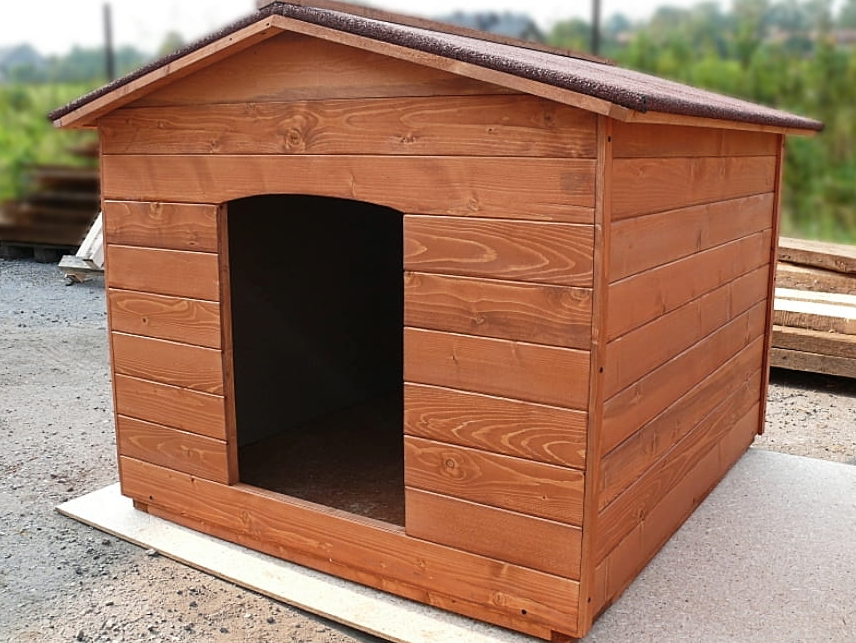 Dog Kennel 2.9 M X 2 M Matt Black + Floor + XL Kennel + Vestibule + Bowls